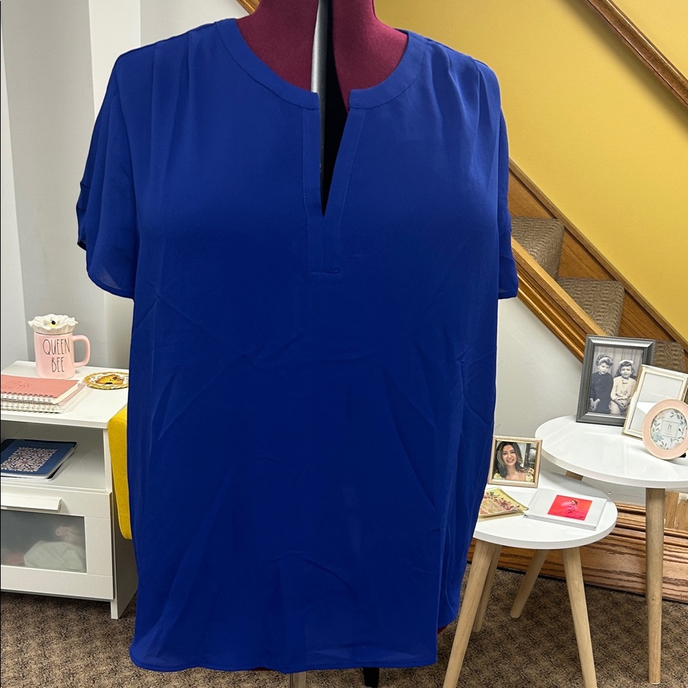 Pleione XL Women's Blue Top